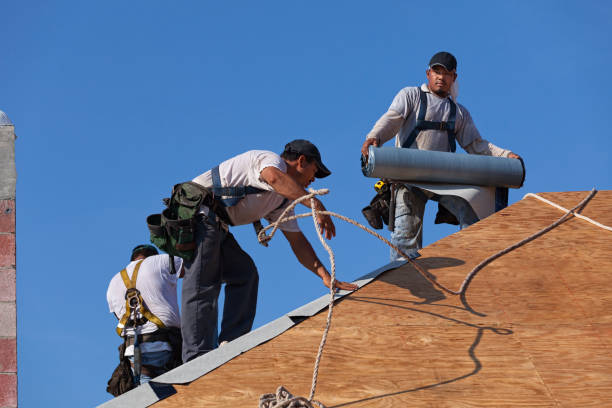 Best Metal Roofing Contractor  in Saltville, VA